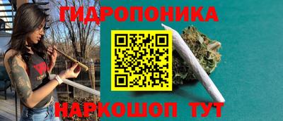apvp Нальчик