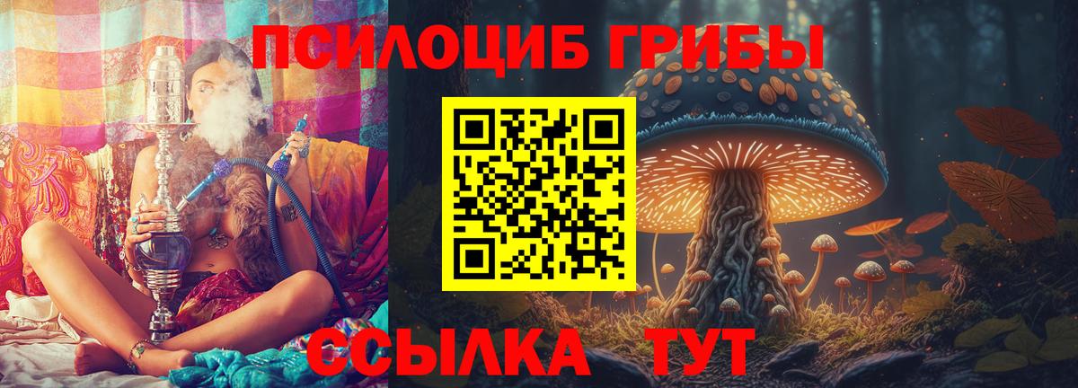 Псилоцибиновые грибы прущие грибы  Вход с VPN  Галлюциногенные грибы ЛСД  Спасск-Дальний 